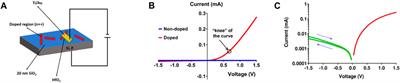 DNA-based doping and fabrication of PN diodes